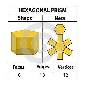 Hexagonal prism nets, faces, edges, and vertices. photo