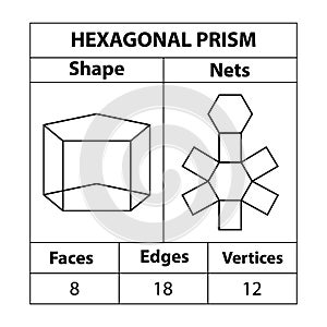 Hexagonal prism nets, faces, edges, and vertices. Geometric figures are set isolated on a white backdrop. photo