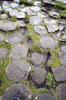 Hexagonal rocks at Giants Causeway, Northern Ireland