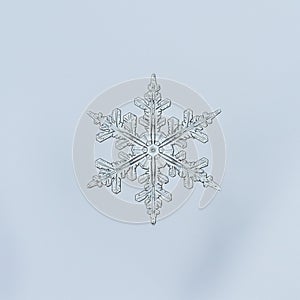 Hexagonal snowflake with intricate, symmetrical patterns and detailed branching. Set