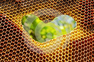 Hexagonal textured honeycomb background close-up. Heart shaped hole in bee frame. Black broun yellow background. Agricultural