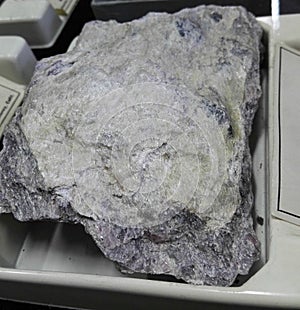 Hexagonite schist sedimentary rocks