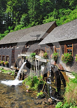 Hexenlochuehle,black forest,schwarzwald,germany