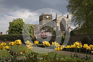 Hexham Abbey