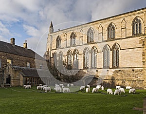 Hexham Abbey, Northumberland, UK with sheep display