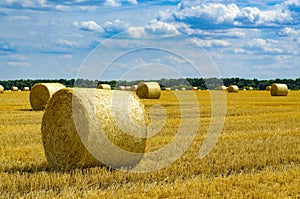 Hey bale. Farming with the sky. Rural nature in farmlands. Straw in the meadow. Wheat yellow-golden harvest in summer.