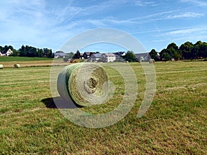 Hey bale in a meadow near a village in rural landscape