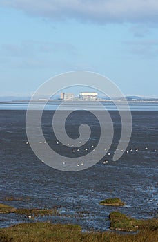 Heysham power station, Lune estuary and shelducks