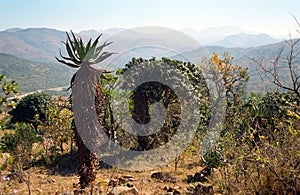 Hhenga Mountains, Swaziland