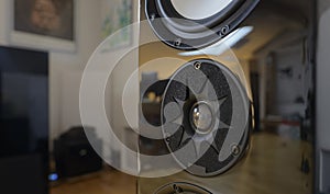 Hi-fi tweeter with a spectacular range and sound photo