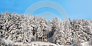 HI-res Wintry panorama 2x1 ratio