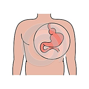 Hiatal hernia line icon. Vector isolated element.