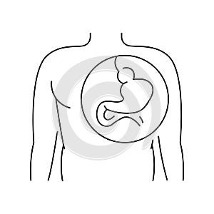 Hiatal hernia line icon. Vector isolated element.