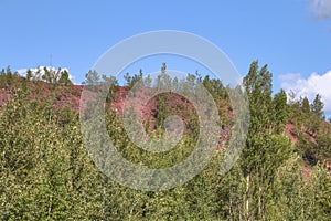 Hibbing, Minnesota Open Pit Mine