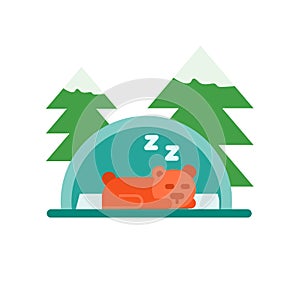 Hibernation icon vector isolated on white background, Hibernation sign , snowy cold winter symbols