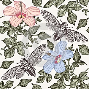 Hibiscus cicadas. Flowers mallow insects fauna. Seamless textile background. Drawing engraving. Freehand isolated realistic.