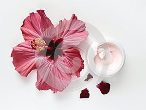 hibiscus facial mask. Karkade DIY beauty treatment and spa recipe. Top view