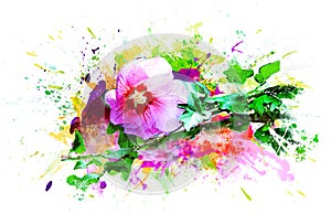 Hibiscus Flower - Abstract Pink Green Watercolor Art Illustration - Isolated White Background