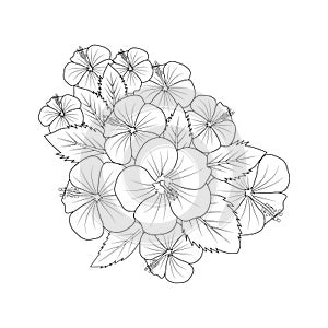 Hibiscus flower doodle art, hand drawing hibiscus flower bouquet, Realistic hibiscus flower coloring pages.