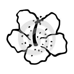 Hibiscus flower doodle style vector illustration isolated on white