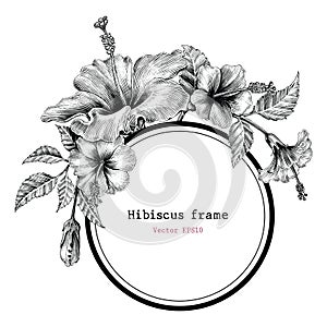 Hibiscus flower frame hand drawing vintage clip art
