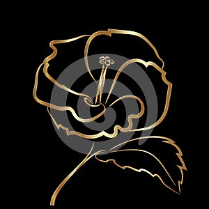 Hibiscus flower sketch gold on black