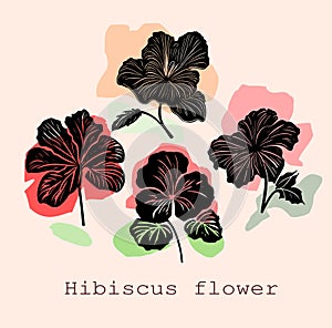 Hibiscus flower tropical exotic black white engraving tattoo silhouette drawing illustration.Hawaiian floral plant stencil design