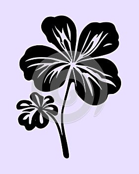 Hibiscus flower tropical exotic black white engraving tattoo silhouette drawing illustration.Hawaiian floral plant stencil design