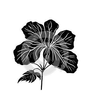 Hibiscus flower tropical exotic black white engraving tattoo silhouette drawing illustration.Hawaiian floral plant stencil design