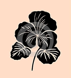 Hibiscus flower tropical exotic black white engraving tattoo silhouette drawing illustration.Hawaiian floral plant stencil design