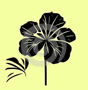 Hibiscus flower tropical exotic black white engraving tattoo silhouette drawing illustration.Hawaiian floral plant stencil design