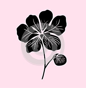 Hibiscus flower tropical exotic black white engraving tattoo silhouette drawing illustration.Hawaiian floral plant stencil design