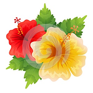 hibiscus flower vector illustration