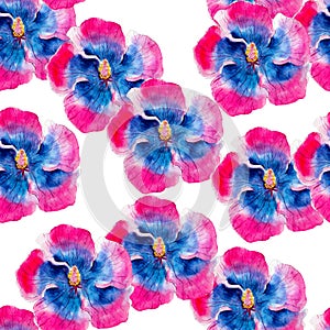 Hibiscus flower watercolor seamless pattern. Bright tropical flowers isolated on white background, hand-drawn design.