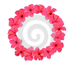 Hibiscus flower wreath isolated on white background