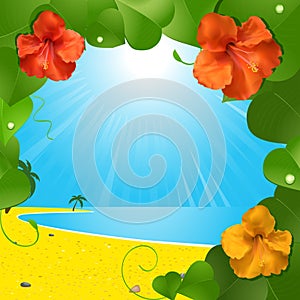 Hibiscus flowers and beach scene