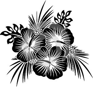 Hibiscus flowers with leaves in black and white