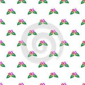 Hibiscus flowers pattern seamless illustration vector