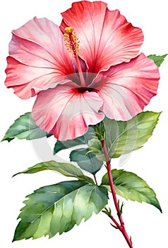 A Hibiscus flowers watercolor painting. AI-Generated.