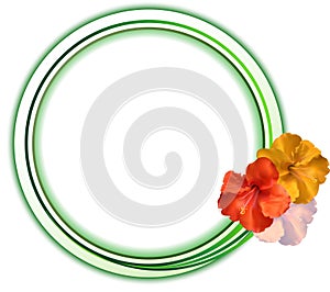 Hibiscus green copy space circular border