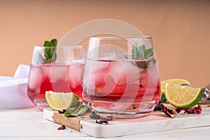 Hibiscus margarita drink with ice, lime and mint