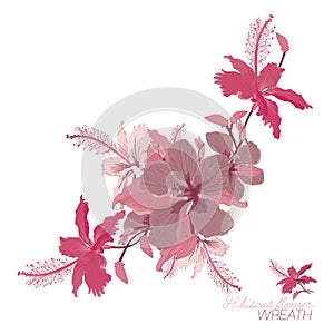 Hibiscus pink hues flowering wreath Vector Illustration