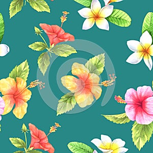 Hibiscus & plumeria watercolor pattern on green wallpaper