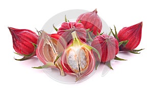 Hibiscus sabdariffa or roselle fruits isolated on white background
