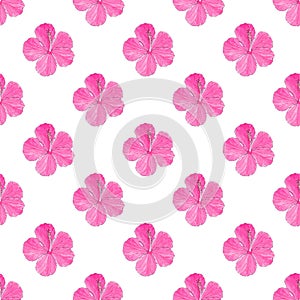 Hibiscus. Seamless pattern with flowers. Hand-drawn background. Vector illustration.