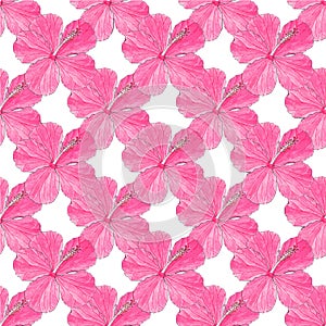 Hibiscus. Seamless pattern with flowers. Hand-drawn background. Vector illustration.