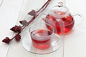 Hibiscus tea