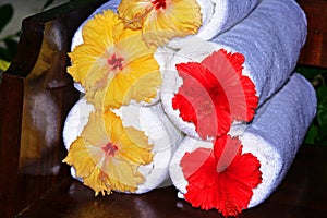 Hibiscus towels