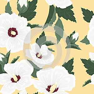 Hibiscus white flower buds leaves seamless pattern