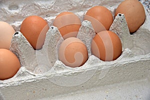 ÃÂ¡hicken eggs in a cardboard package